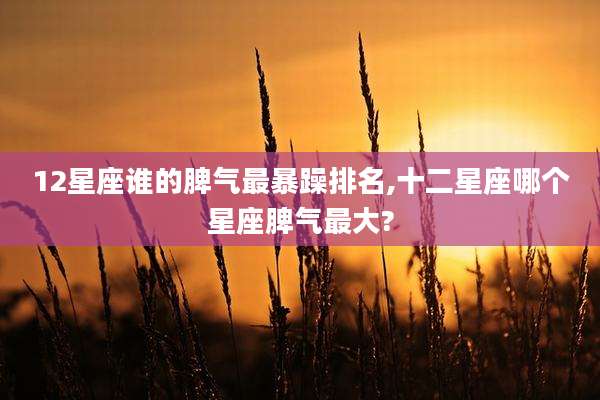 12星座谁的脾气最暴躁排名,十二星座哪个星座脾气最大?