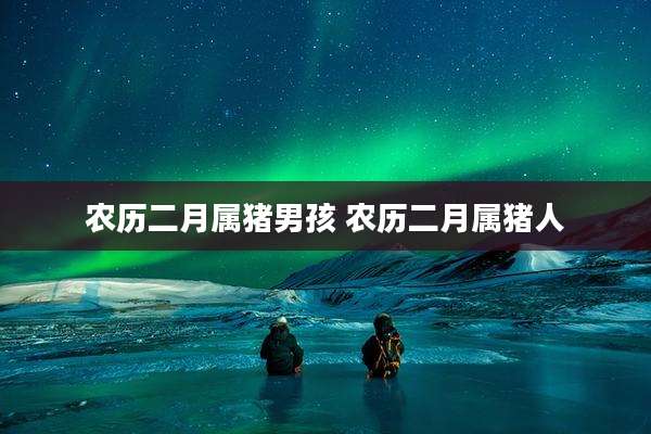 农历二月属猪男孩 农历二月属猪人