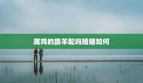 属鸡的跟羊配吗婚姻如何