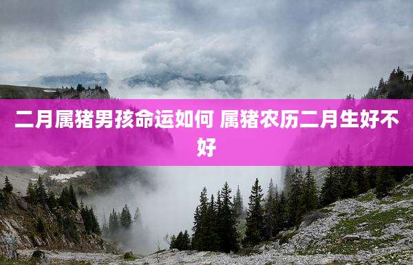 二月属猪男孩命运如何 属猪农历二月生好不好