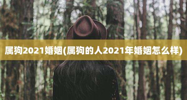 属狗2021婚姻(属狗的人2021年婚姻怎么样)