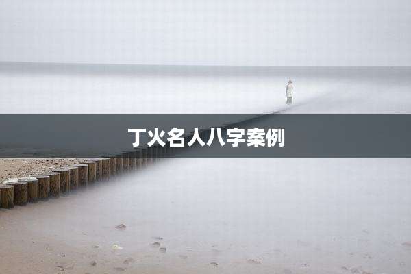 丁火名人八字案例