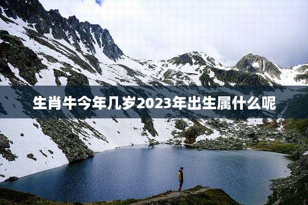 生肖牛今年几岁2023年出生属什么呢