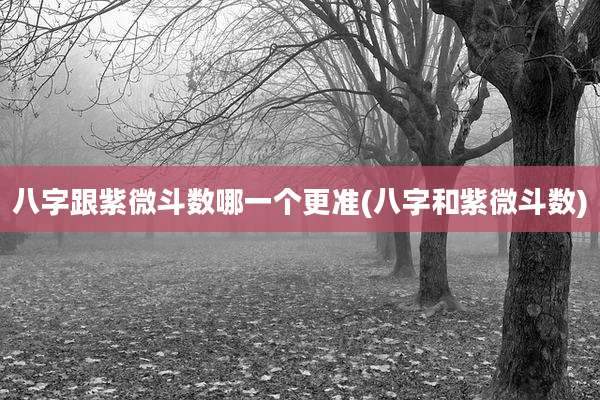 八字跟紫微斗数哪一个更准(八字和紫微斗数)