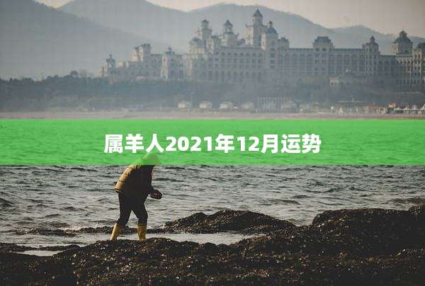 属羊人2021年12月运势