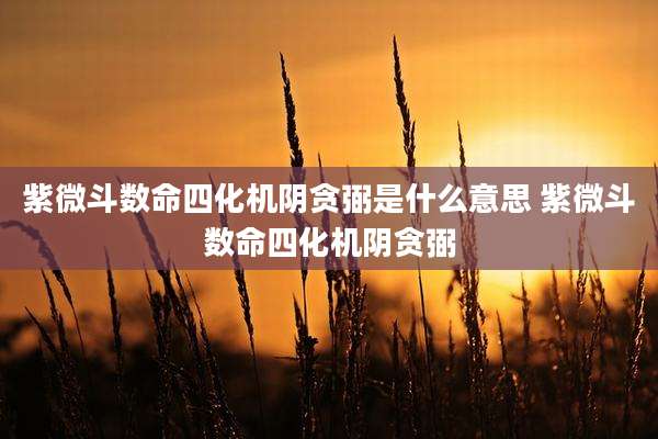 紫微斗数命四化机阴贪弼是什么意思 紫微斗数命四化机阴贪弼