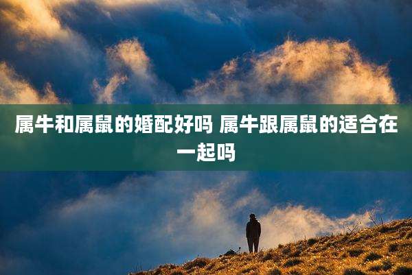 属牛和属鼠的婚配好吗 属牛跟属鼠的适合在一起吗