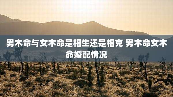 男木命与女木命是相生还是相克 男木命女木命婚配情况
