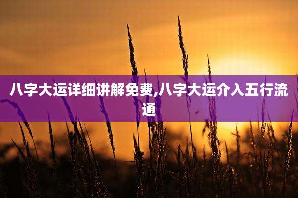 八字大运详细讲解免费,八字大运介入五行流通
