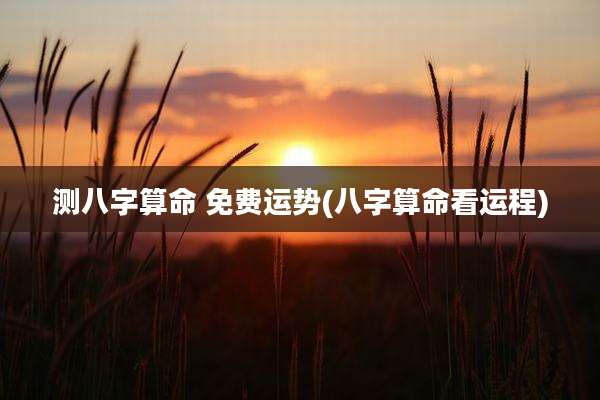 测八字算命 免费运势(八字算命看运程)