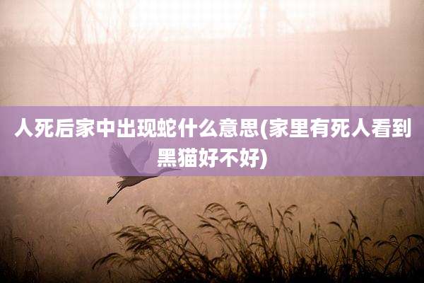 人死后家中出现蛇什么意思(家里有死人看到黑猫好不好)