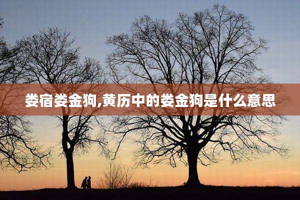 娄宿娄金狗,黄历中的娄金狗是什么意思
