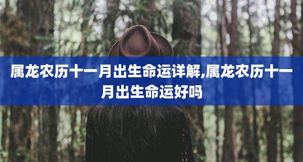 属龙农历十一月出生命运详解,属龙农历十一月出生命运好吗