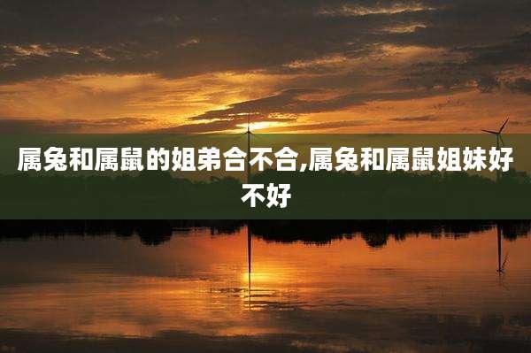 属兔和属鼠的姐弟合不合,属兔和属鼠姐妹好不好
