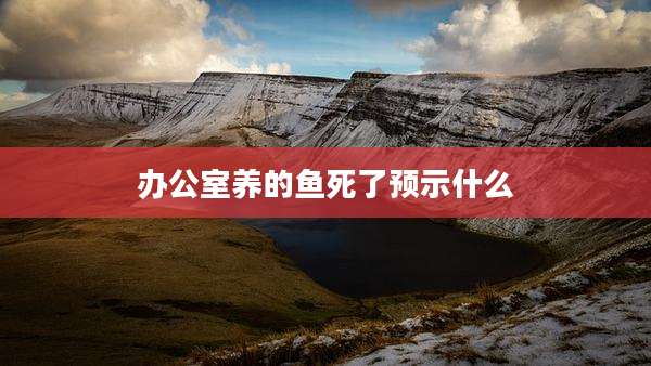 办公室养的鱼死了预示什么