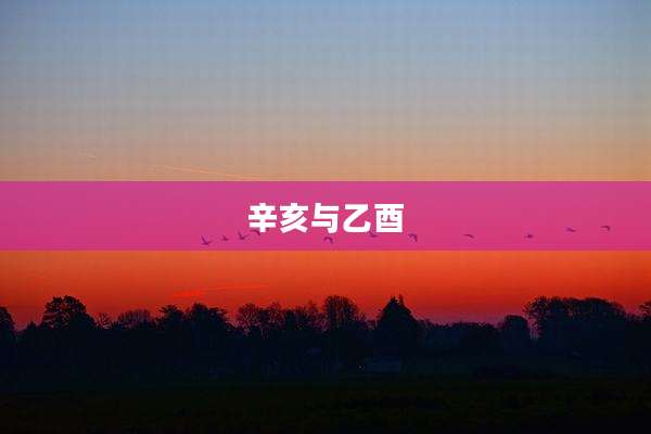 辛亥与乙酉