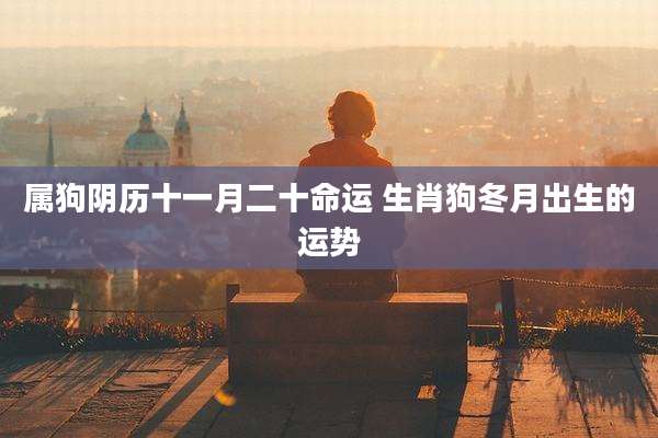 属狗阴历十一月二十命运 生肖狗冬月出生的运势