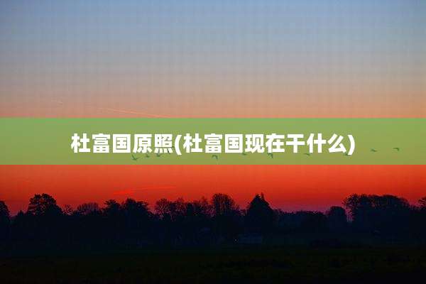 杜富国原照(杜富国现在干什么)