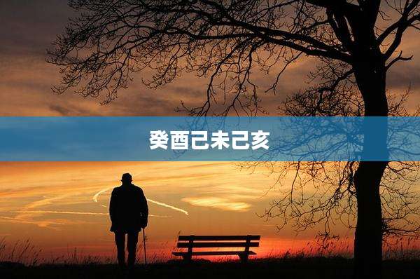 癸酉己未己亥