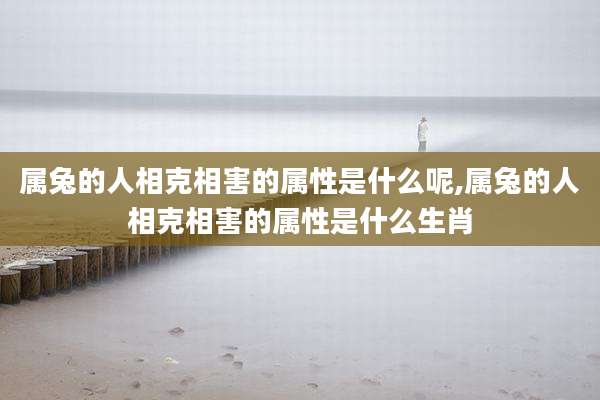 属兔的人相克相害的属性是什么呢,属兔的人相克相害的属性是什么生肖