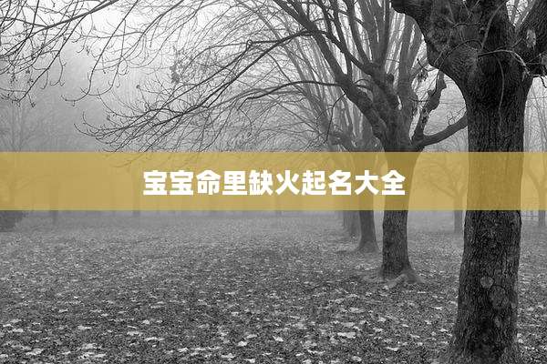 宝宝命里缺火起名大全