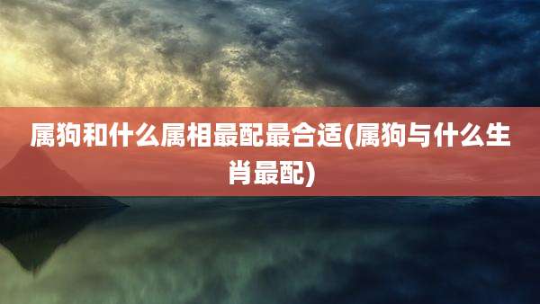 属狗和什么属相最配最合适(属狗与什么生肖最配)