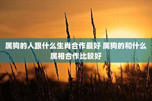 属狗的人跟什么生肖合作最好 属狗的和什么属相合作比较好
