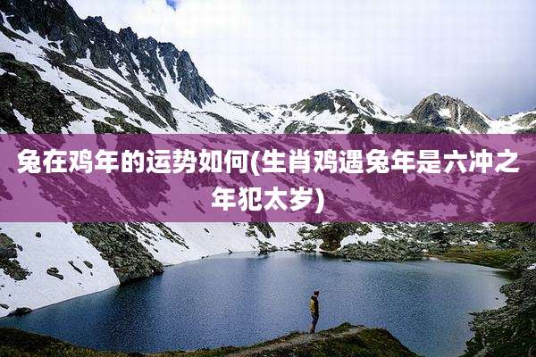兔在鸡年的运势如何(生肖鸡遇兔年是六冲之年犯太岁)