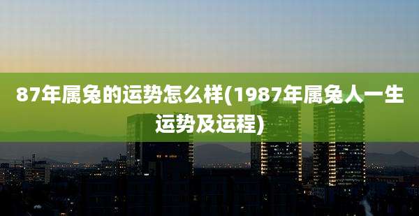 87年属兔的运势怎么样(1987年属兔人一生运势及运程)