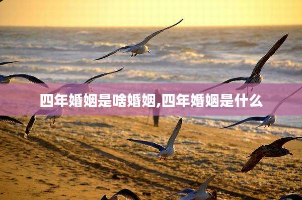 四年婚姻是啥婚姻,四年婚姻是什么