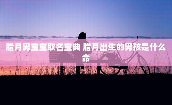 腊月男宝宝取名宝典 腊月出生的男孩是什么命