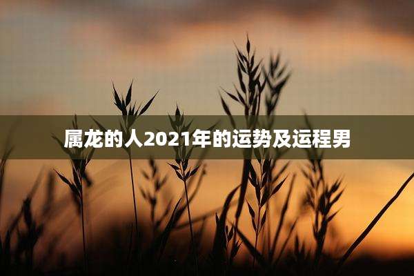 属龙的人2021年的运势及运程男