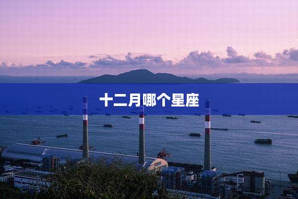 十二月哪个星座