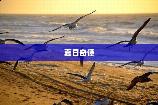 夏日奇谭