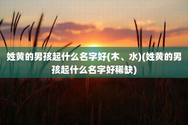 姓黄的男孩起什么名字好(木、水)(姓黄的男孩起什么名字好稀缺)
