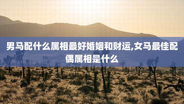 男马配什么属相最好婚姻和财运,女马最佳配偶属相是什么