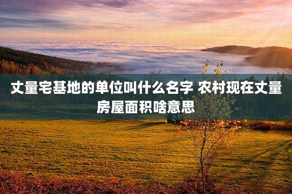 丈量宅基地的单位叫什么名字 农村现在丈量房屋面积啥意思