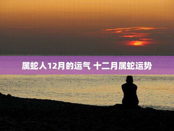 属蛇人12月的运气 十二月属蛇运势