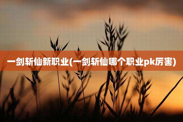 一剑斩仙新职业(一剑斩仙哪个职业pk厉害)