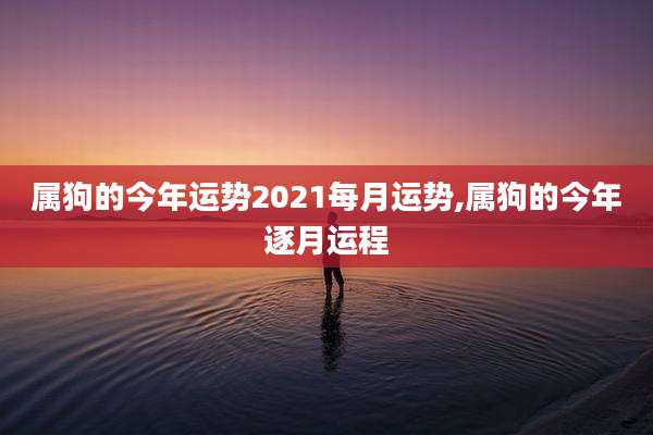 属狗的今年运势2021每月运势,属狗的今年逐月运程