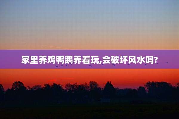 家里养鸡鸭鹅养着玩,会破坏风水吗?