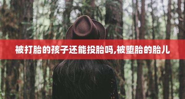 被打胎的孩子还能投胎吗,被堕胎的胎儿