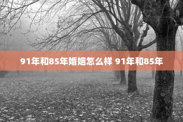 91年和85年婚姻怎么样 91年和85年