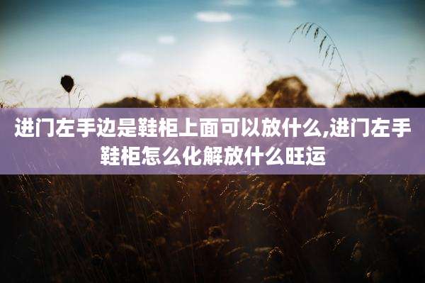 进门左手边是鞋柜上面可以放什么,进门左手鞋柜怎么化解放什么旺运