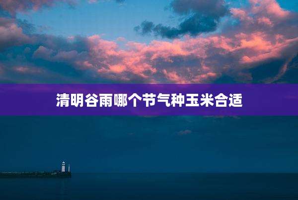 清明谷雨哪个节气种玉米合适