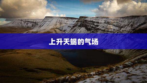 上升天蝎的气场