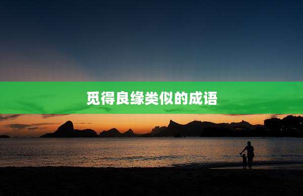 觅得良缘类似的成语