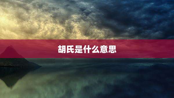 胡氏是什么意思