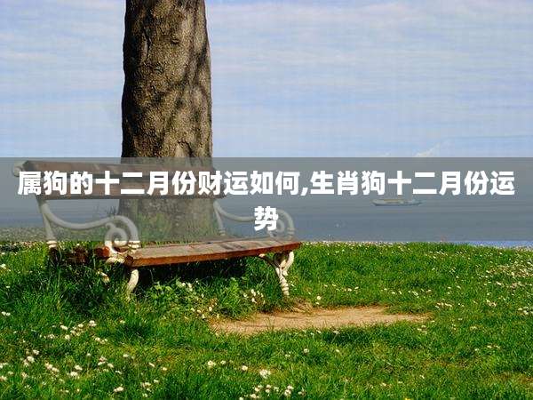 属狗的十二月份财运如何,生肖狗十二月份运势