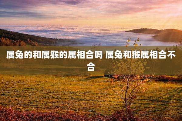 属兔的和属猴的属相合吗 属兔和猴属相合不合